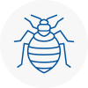 Bed Bug Extermination In Redbridge