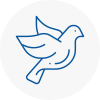 Bird Prevention Redbridge