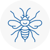 Redbridge Hornet Nest Removals