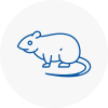 Rat Control Redbridge