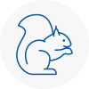 Redbridge Rodent Removals