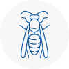 Redbridge Wasp Nest Removal